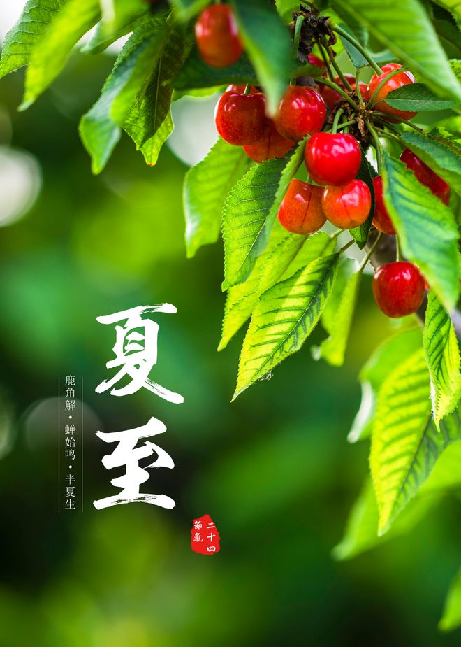 夏至——立竿无影,更需养生