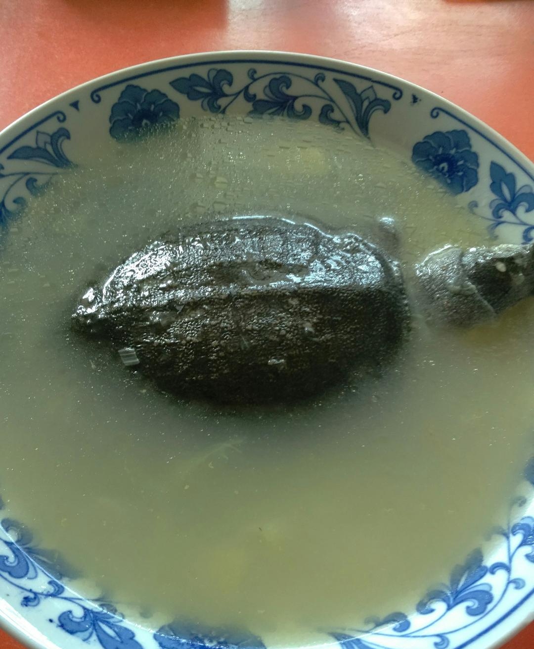 在家轻松炖出美味乌龟汤