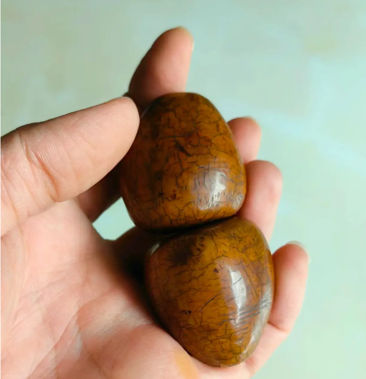 罕见文玩"木梨"走红,有谁知道它是什么宝物?求科普!