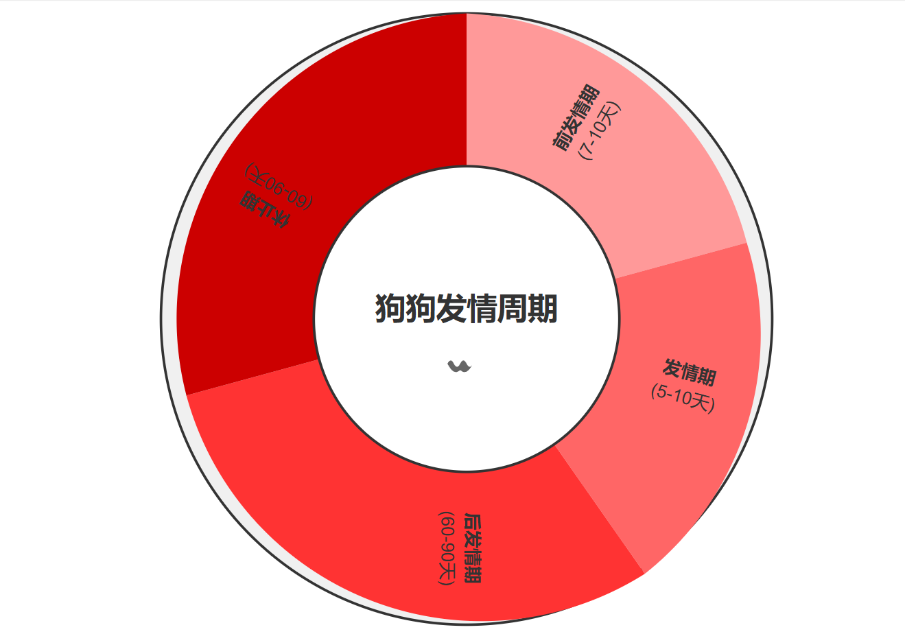 狗狗月经颜色变化图片图片