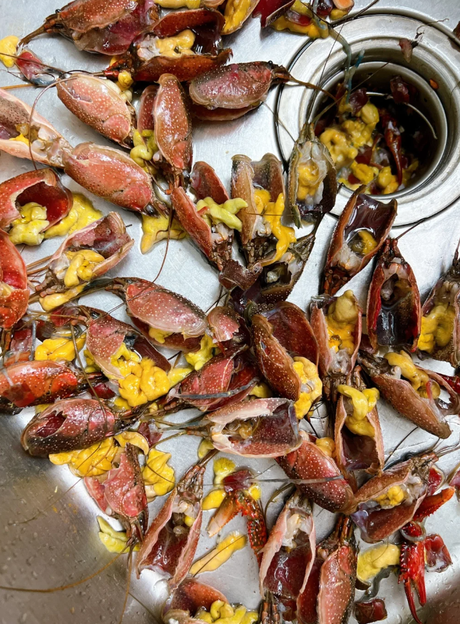 小龙虾"虾黄"vs"虾屎"大解密,别吃错了!区分方法一学就会!