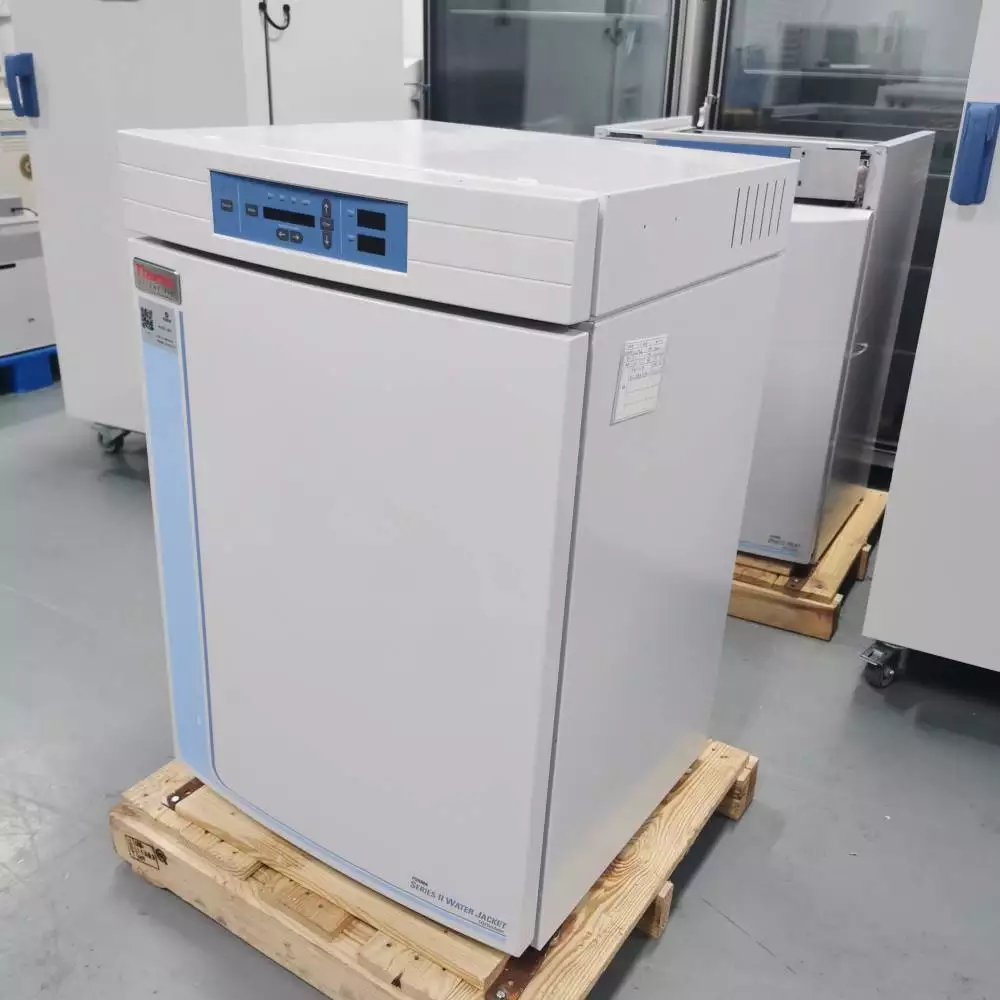 赛默飞 thermo 150 细胞培养箱