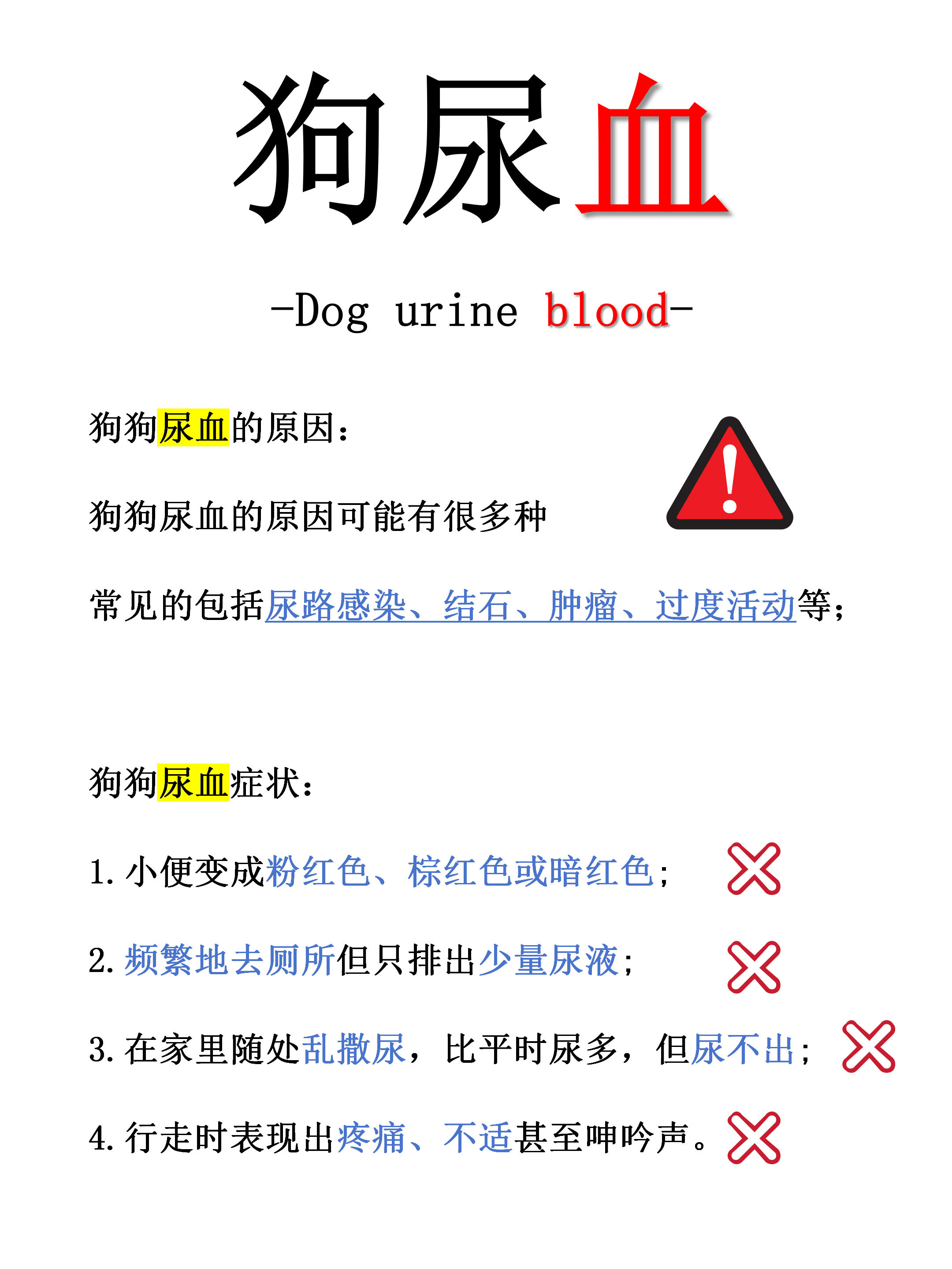 狗狗尿血是怎么回事图片