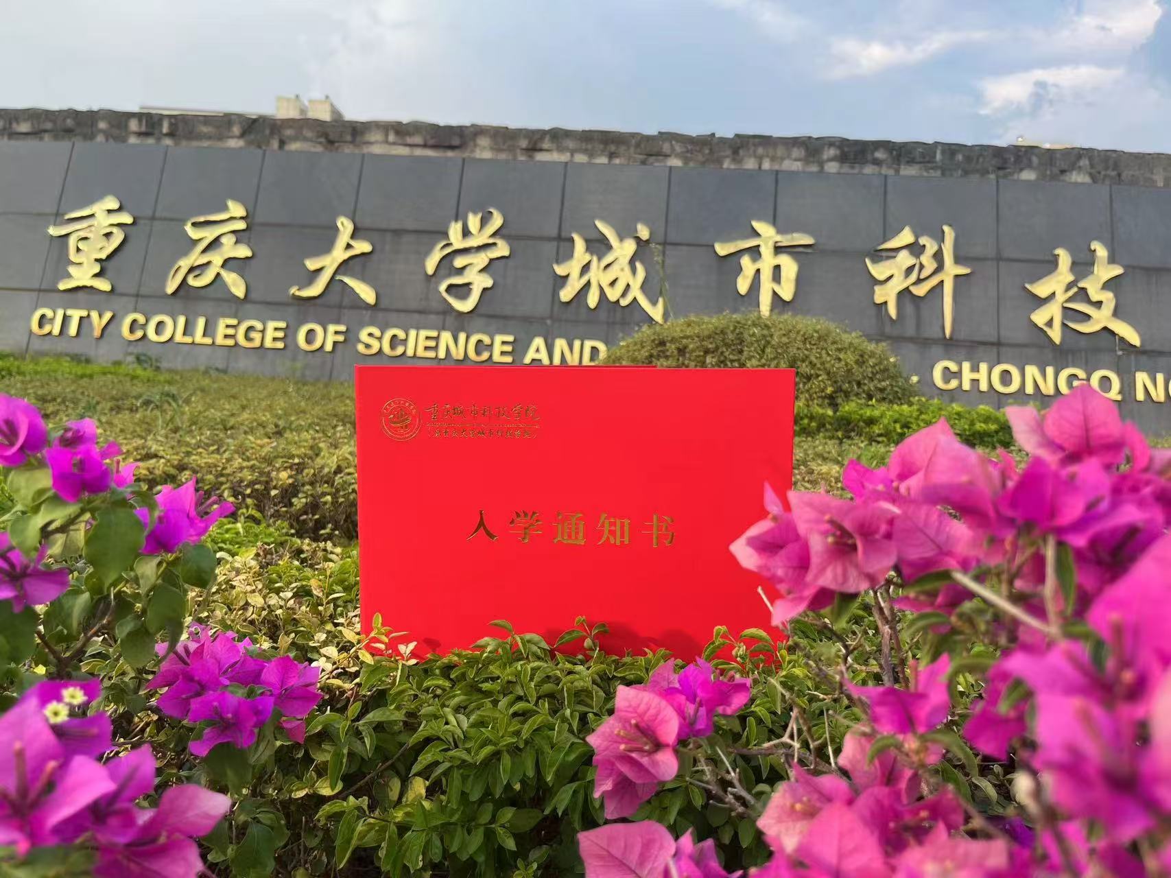 重庆城市科技学院图标图片