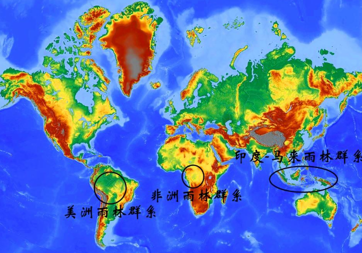 世界上三大热带雨林主要分布在哪?