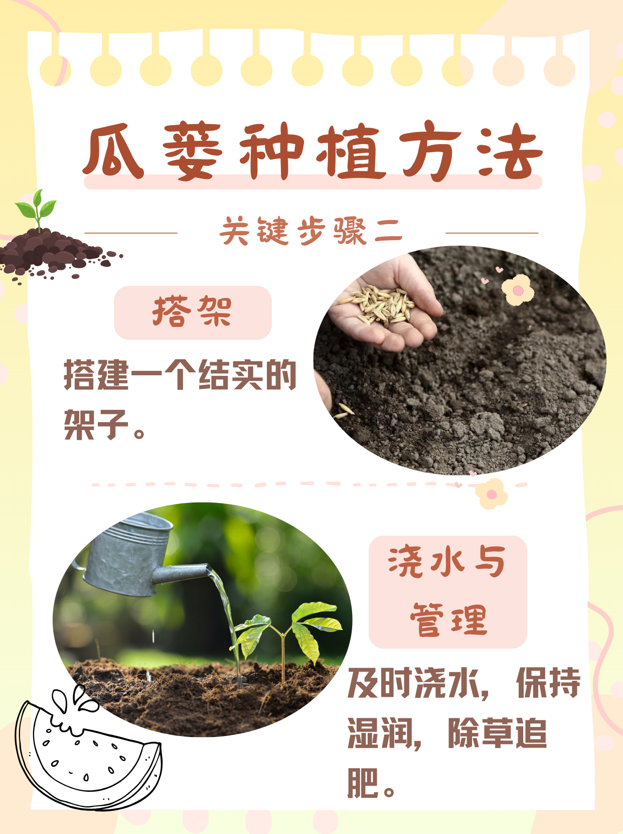 瓜蒌种植秘籍大公开!宝子们速来围观!