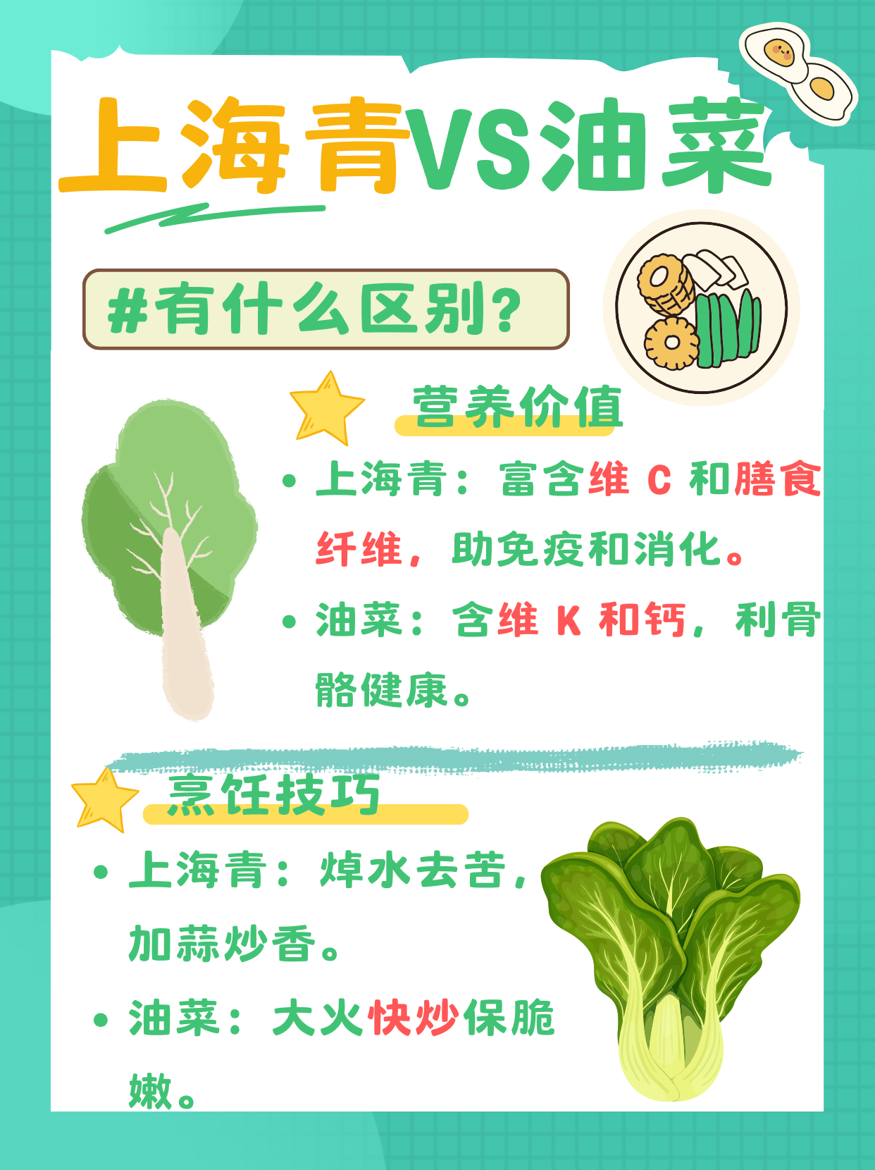 上海青 vs 油菜大揭秘!你知道它们的区别吗?