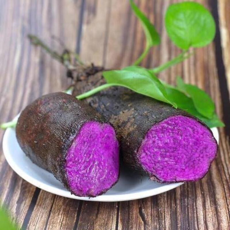 品味赣南紫山药,感受自然的馈赠