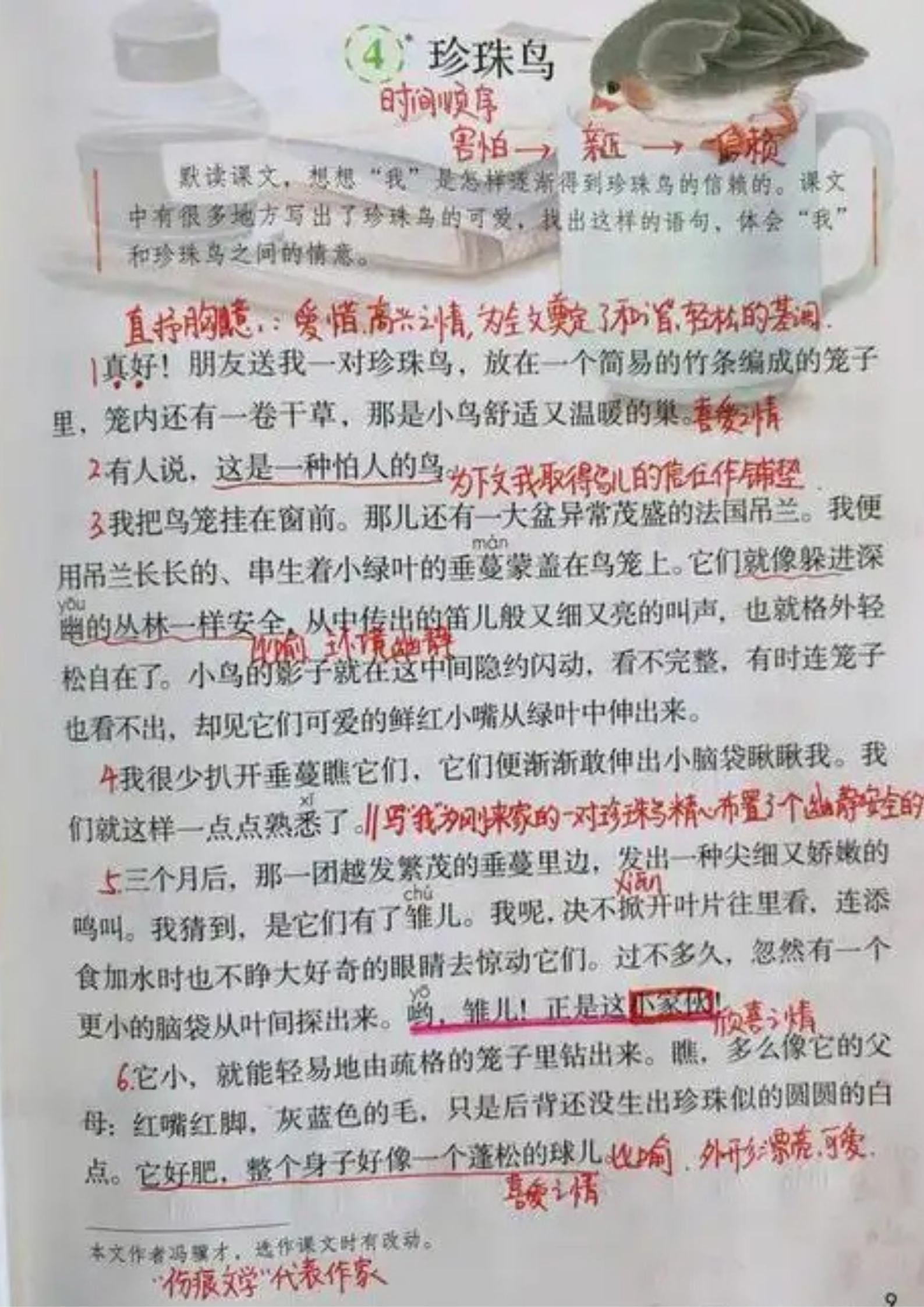 五年级上册珍珠鸟课堂笔记