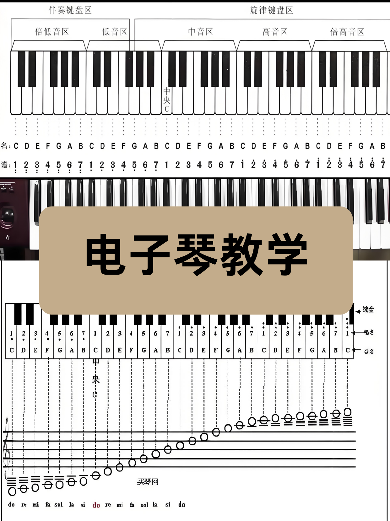 儿童电子琴19键图解图片