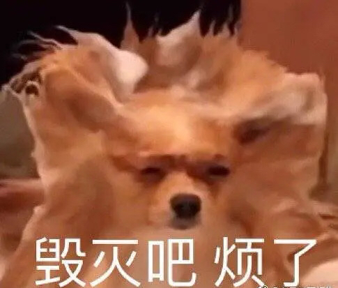 宝子们!考研不要本末倒置啊!
