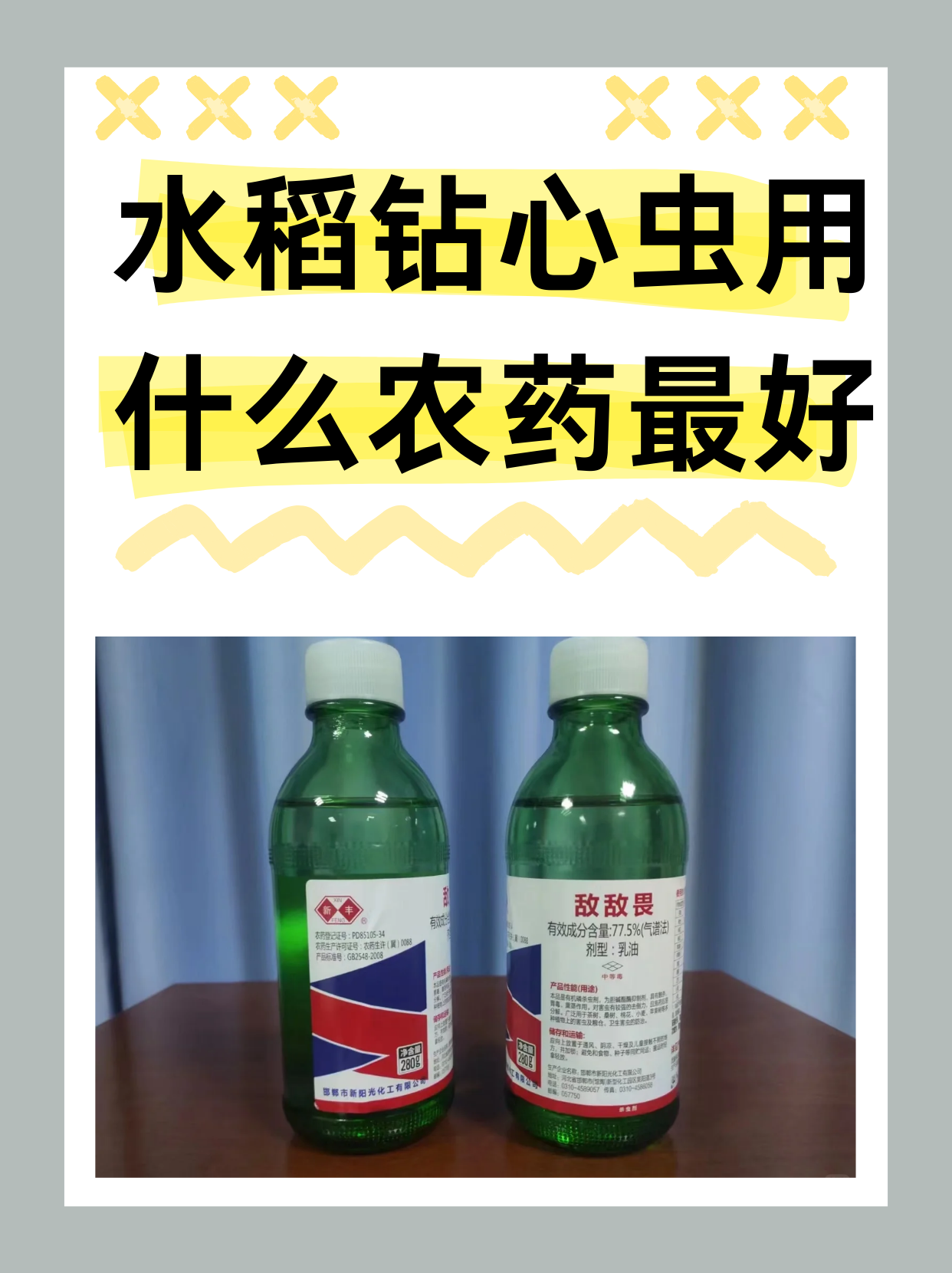 水稻钻心虫用什么农药最好