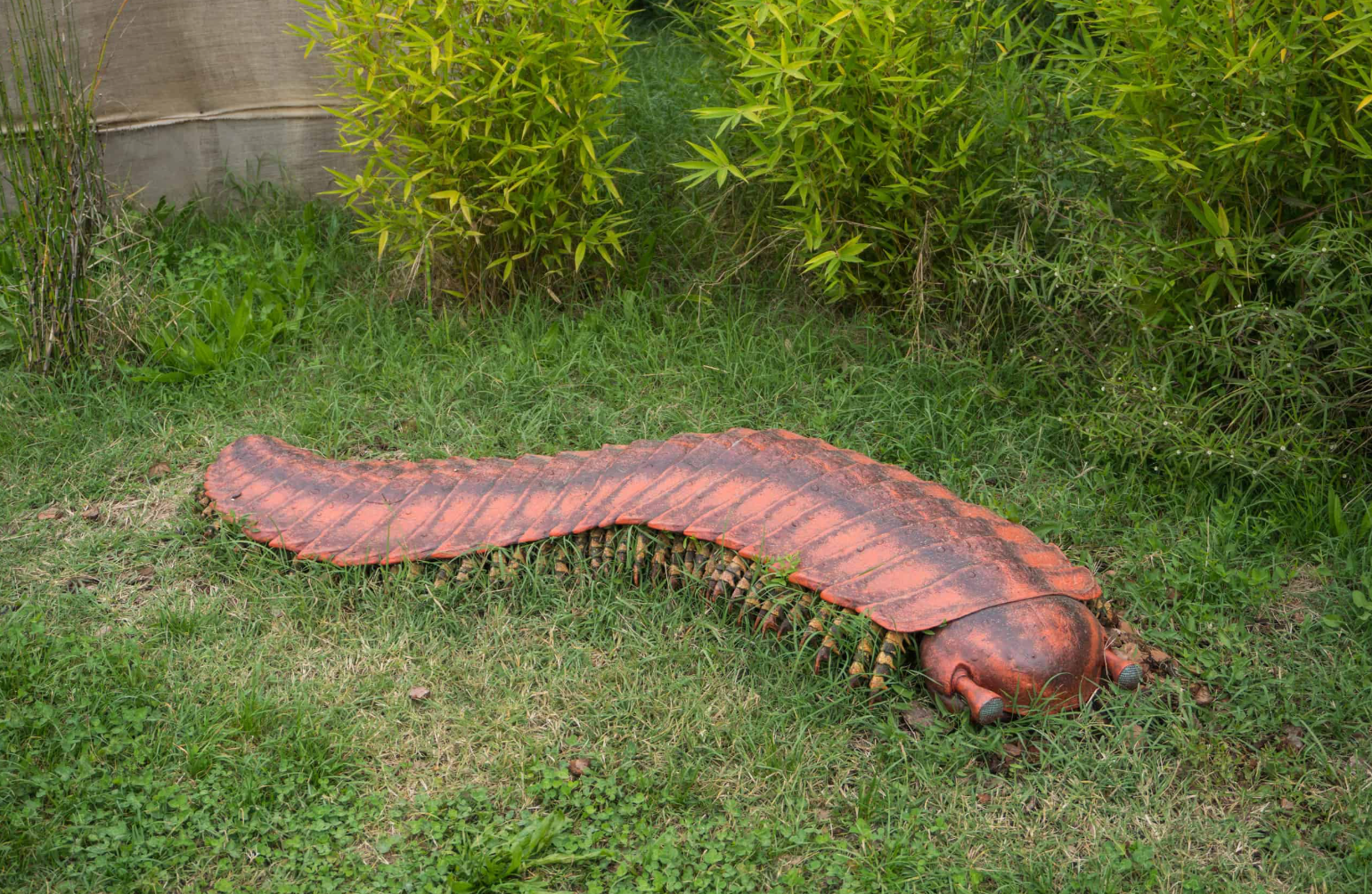 古代十大恐怖生物图片