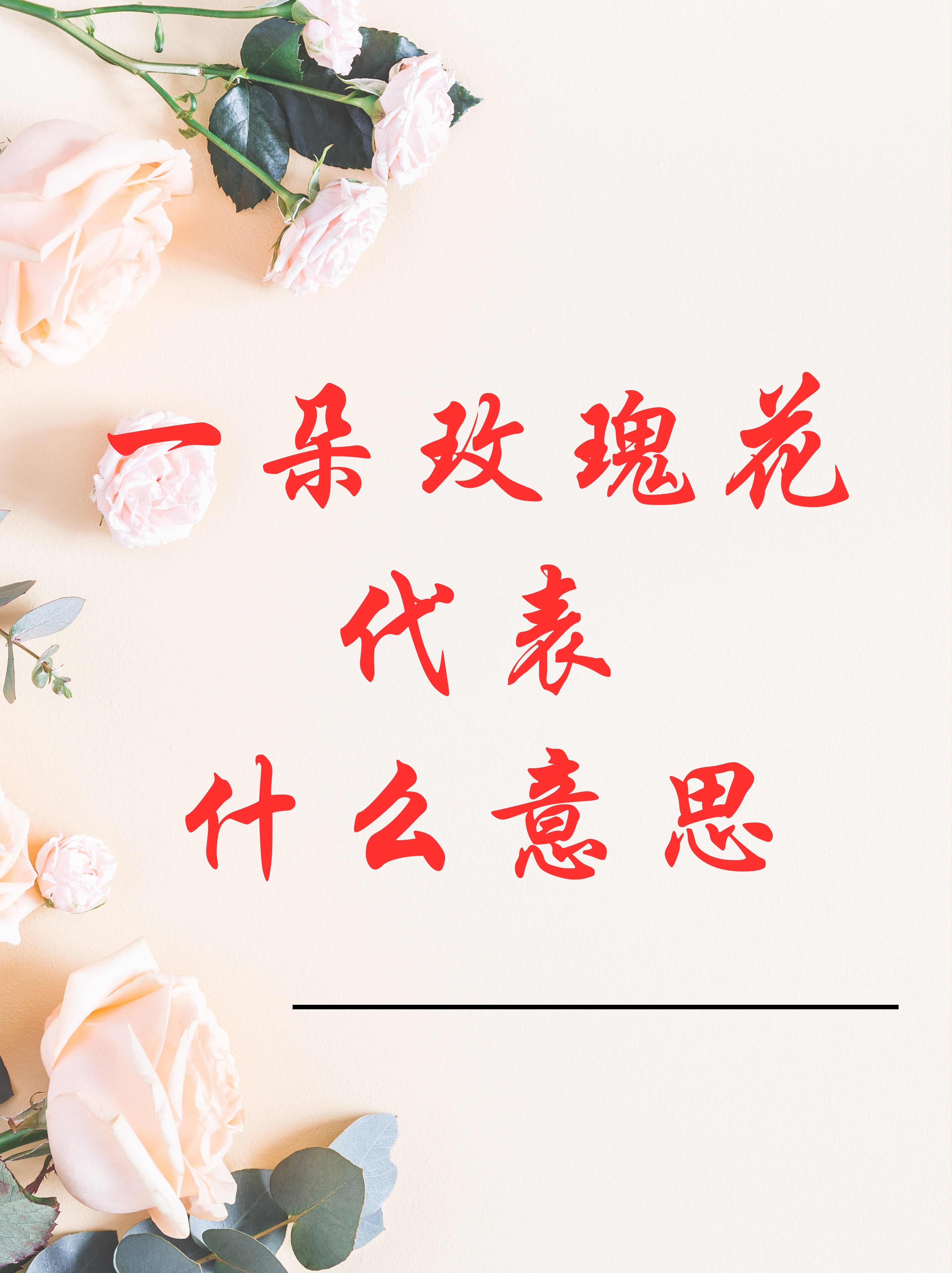 代表啥意思