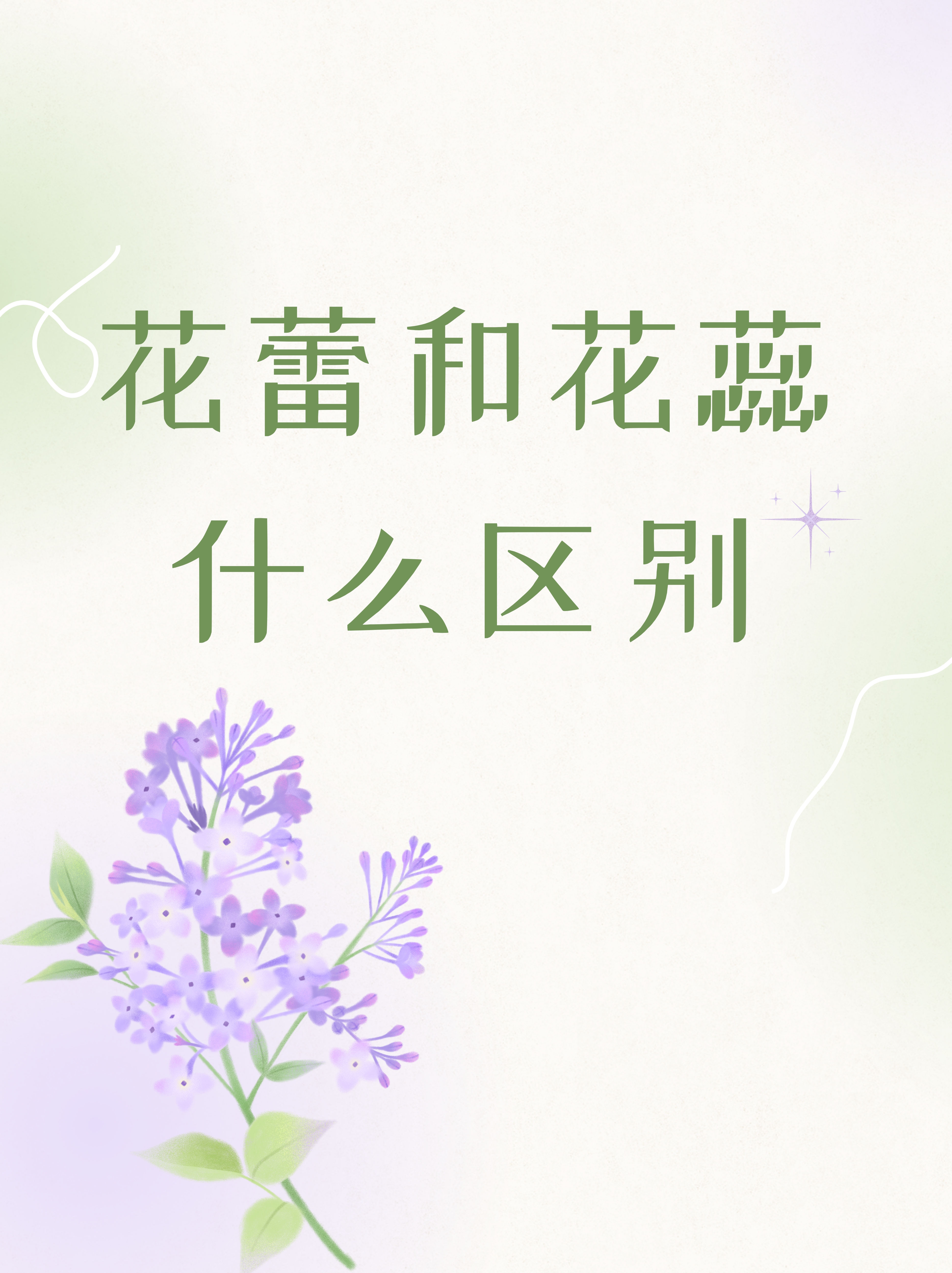 花蕾和花蕊什么区别