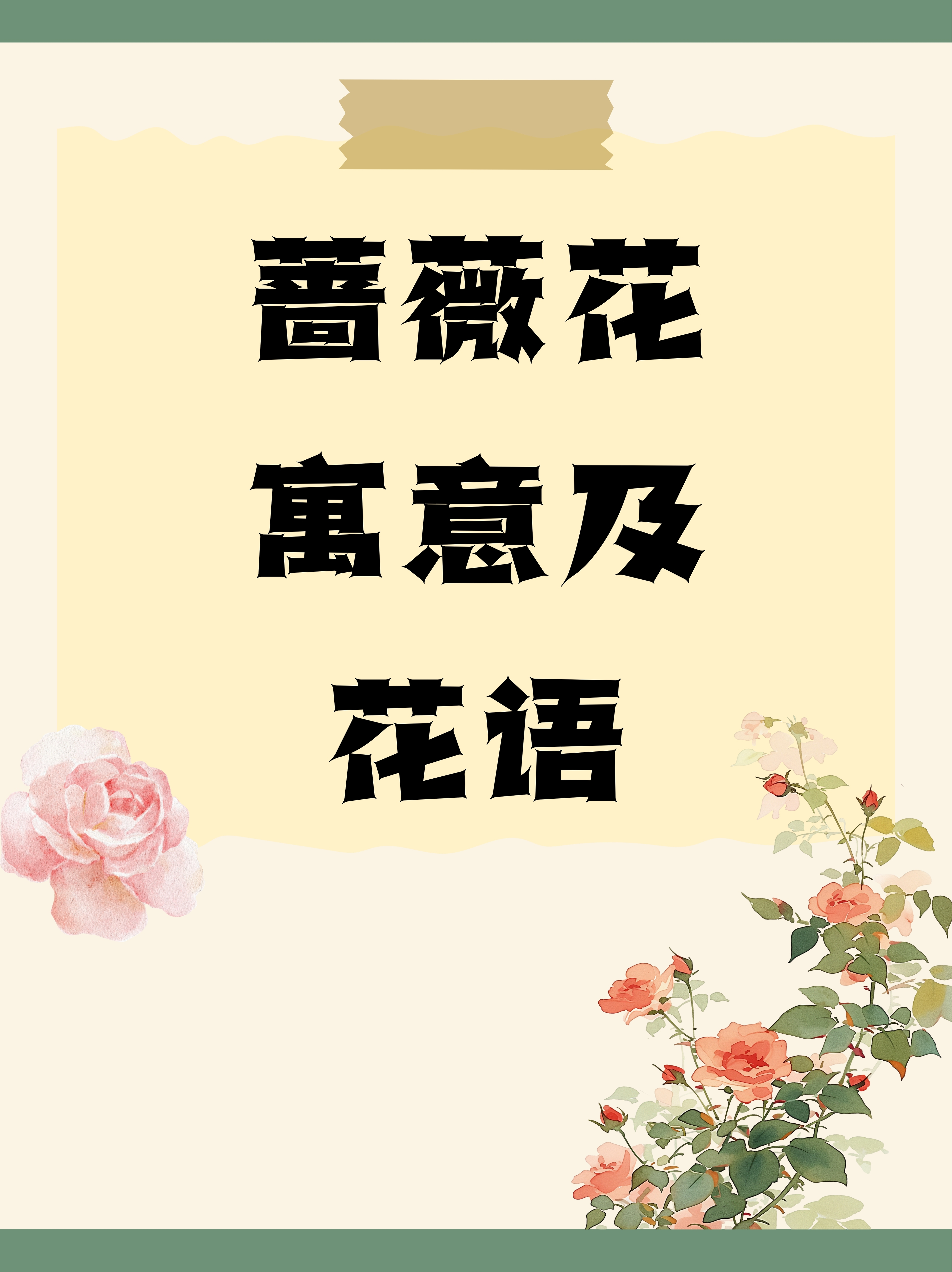 蔷薇花寓意及花语