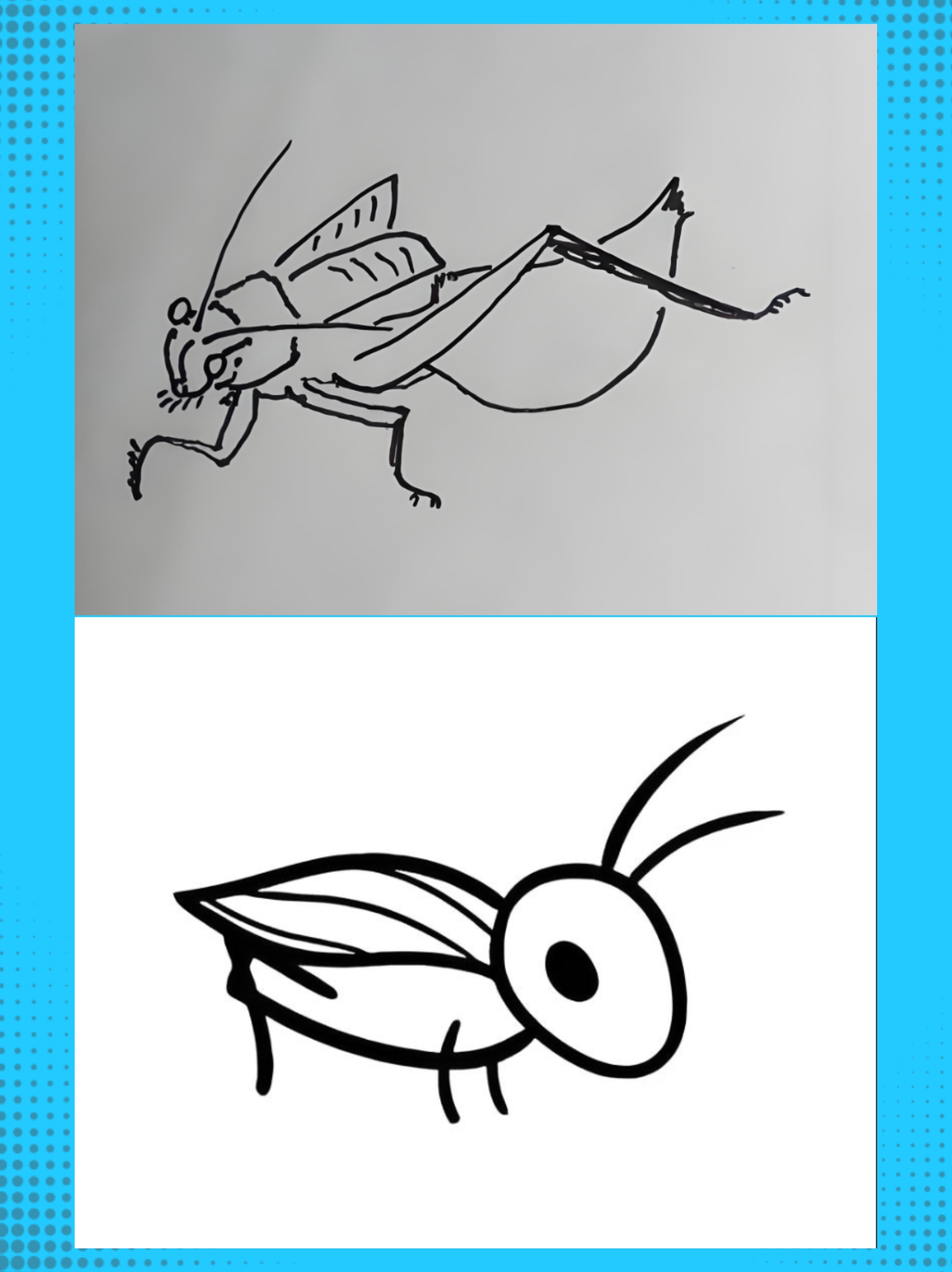 蝈蝈简笔画建议收藏