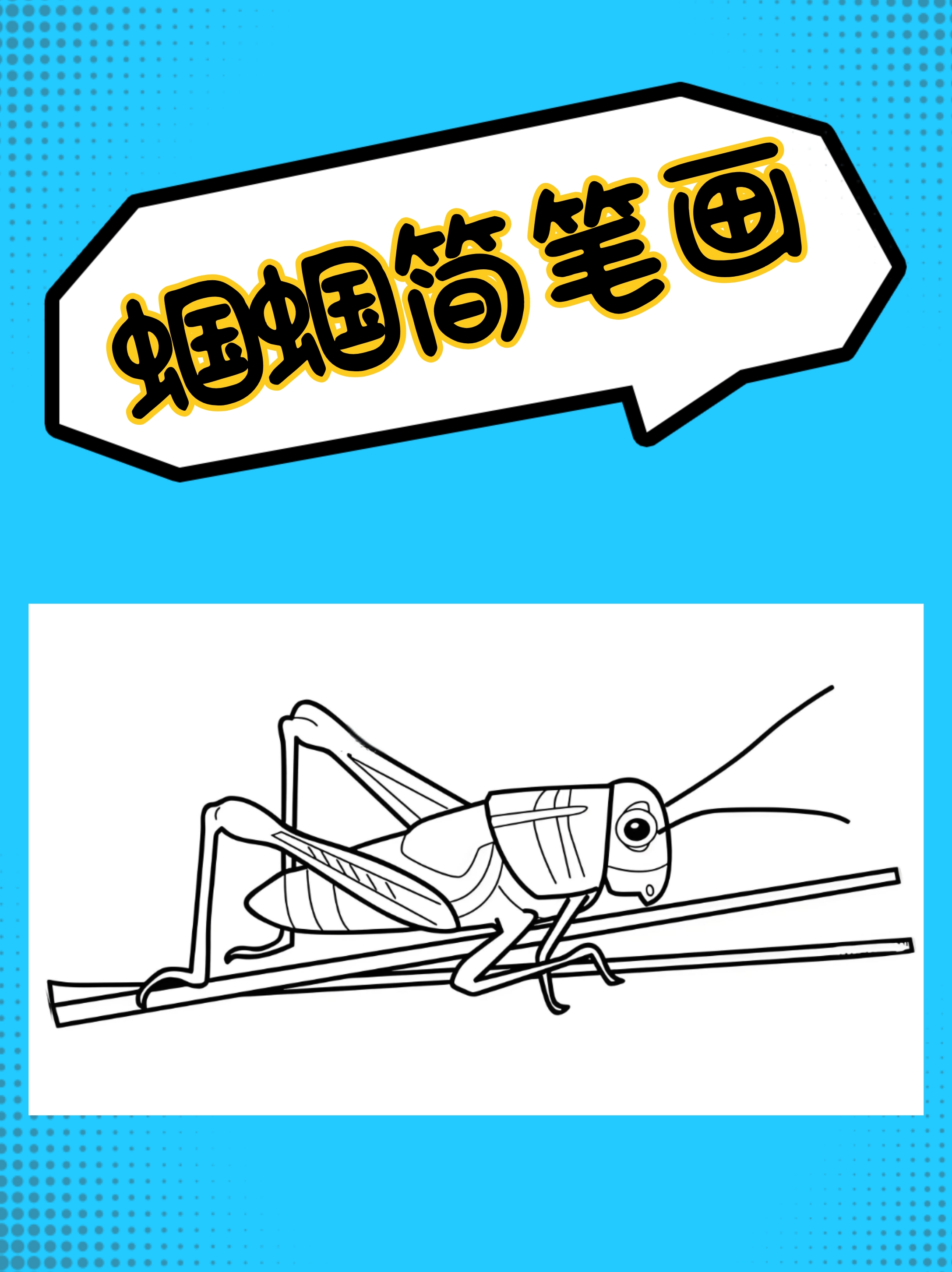 蝈蝈简笔画建议收藏