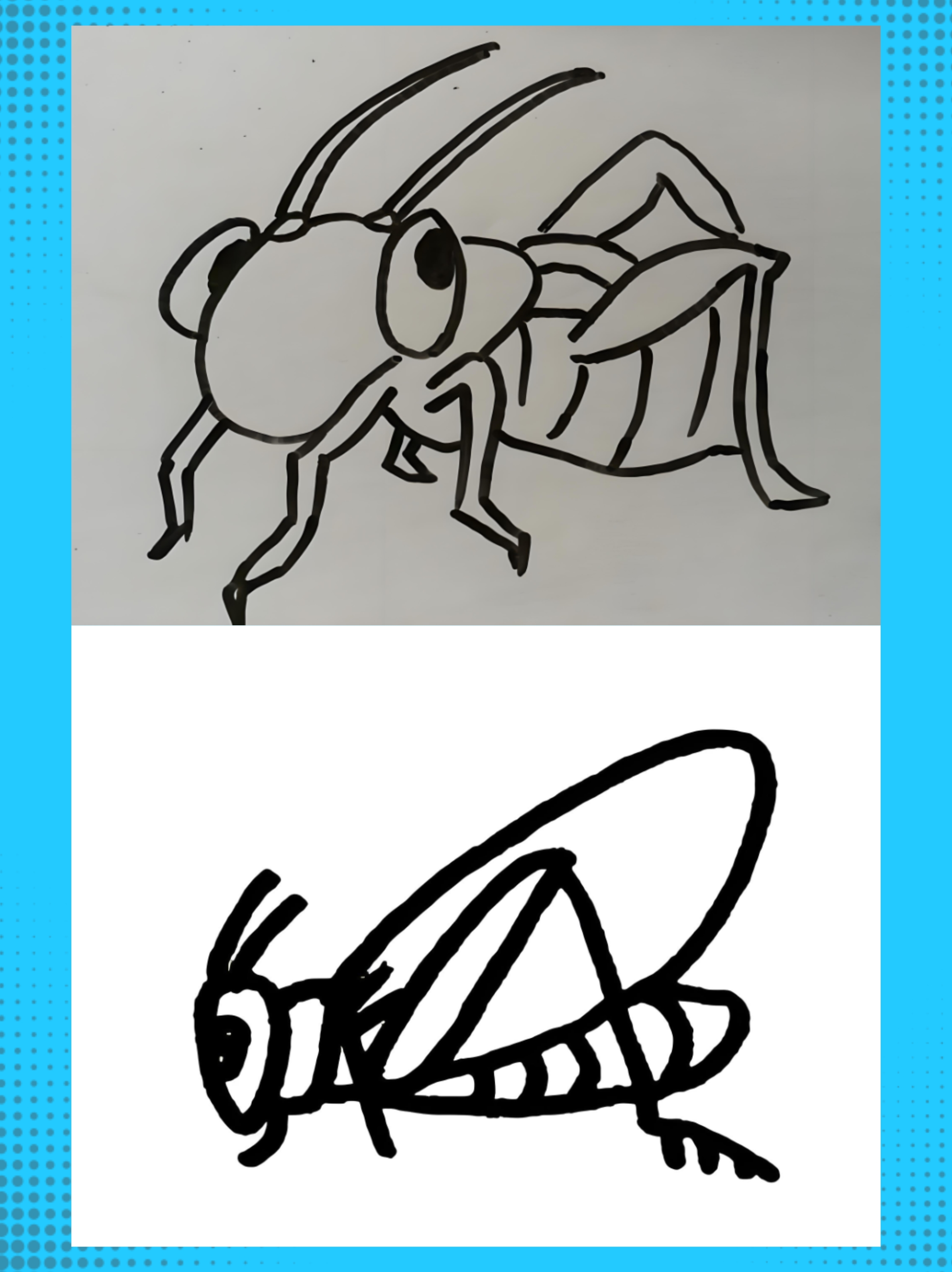 蝈蝈简笔画建议收藏