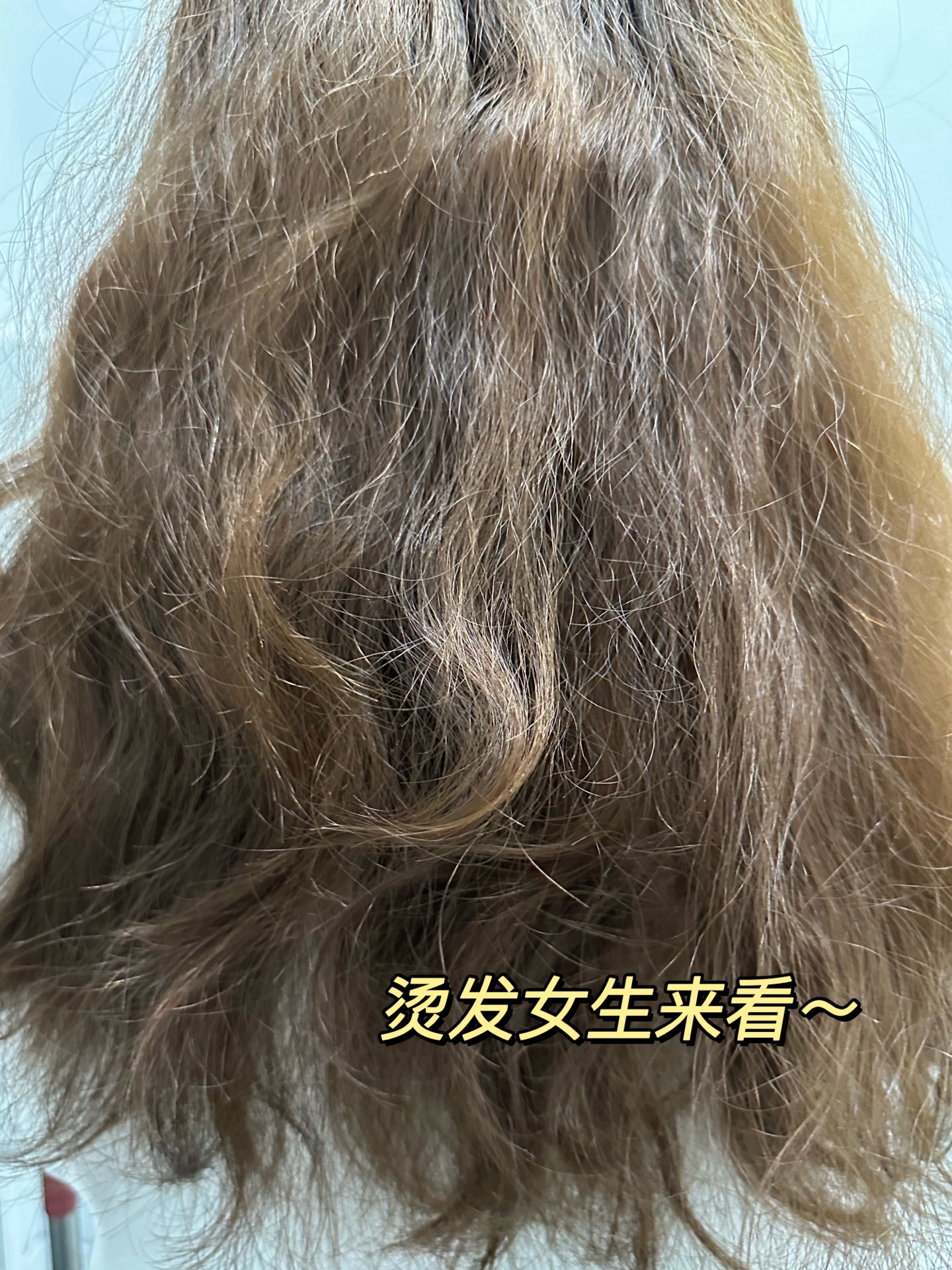推荐类 咱就是说烫完的头发受损严重真的很烦恼 我今年的头发是犹烫