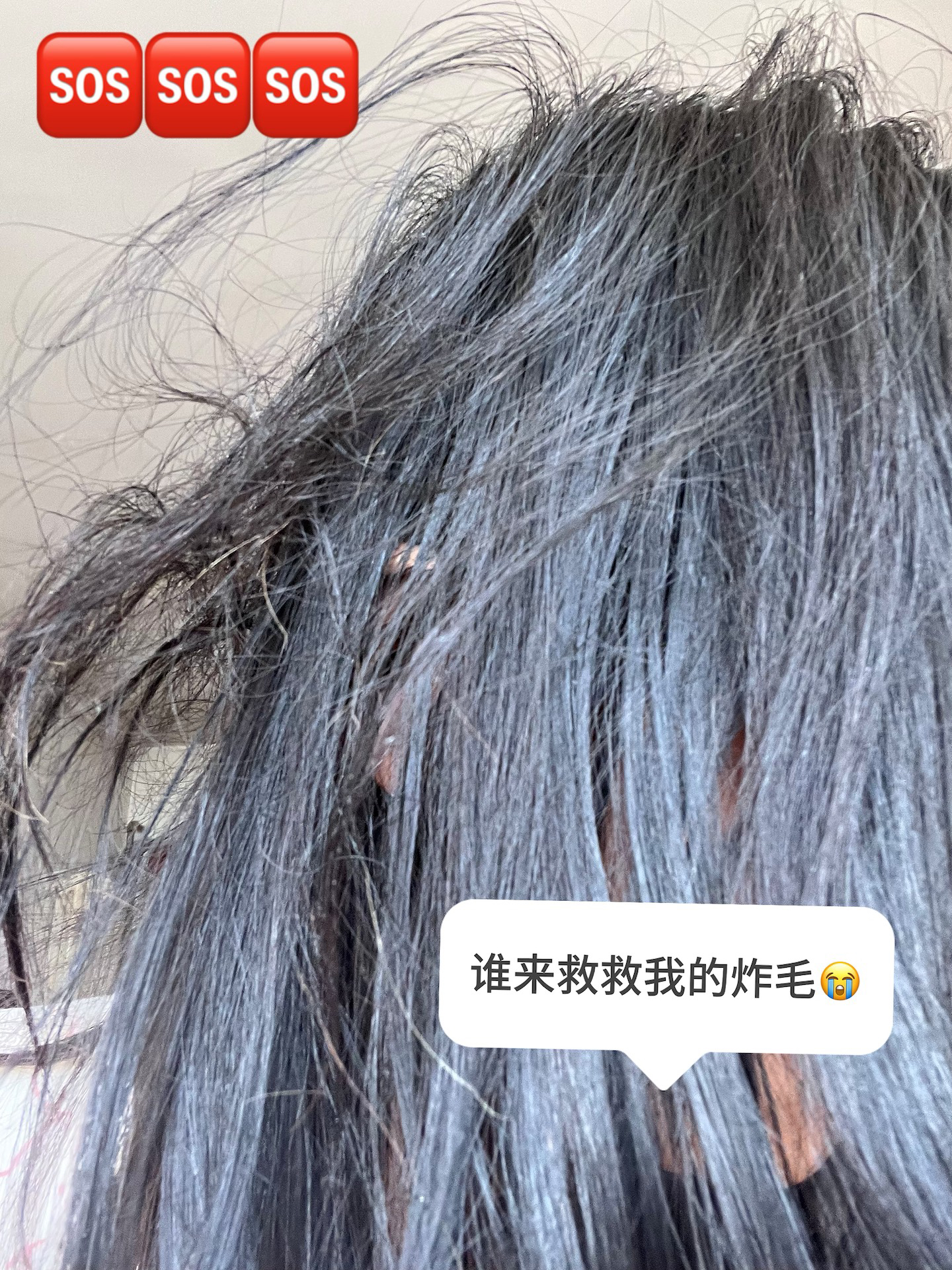 推荐类 上大学没少造作头发 平常还喜欢用卷发棒卷头发 头发毛躁的