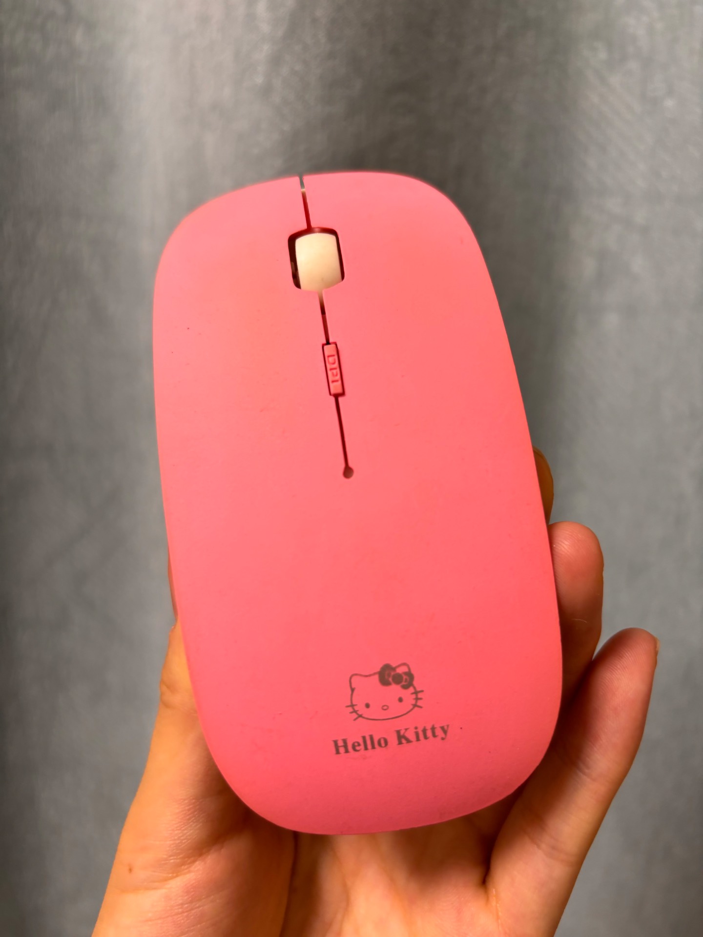 kitty猫搜索器=帮我找一下kitty猫