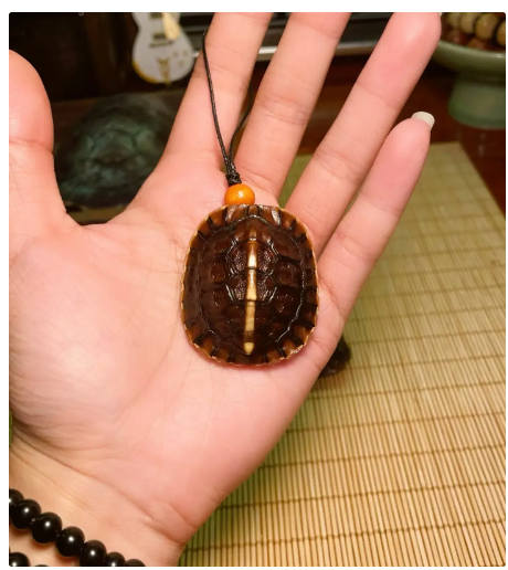 三代人盘的龟壳,玉化包浆!文玩龟壳,古老的文玩,你敢盘吗?