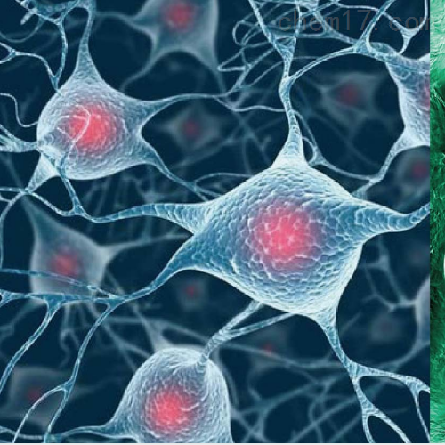 干细胞注射并非简单过程,需严谨医学评估,确保安全