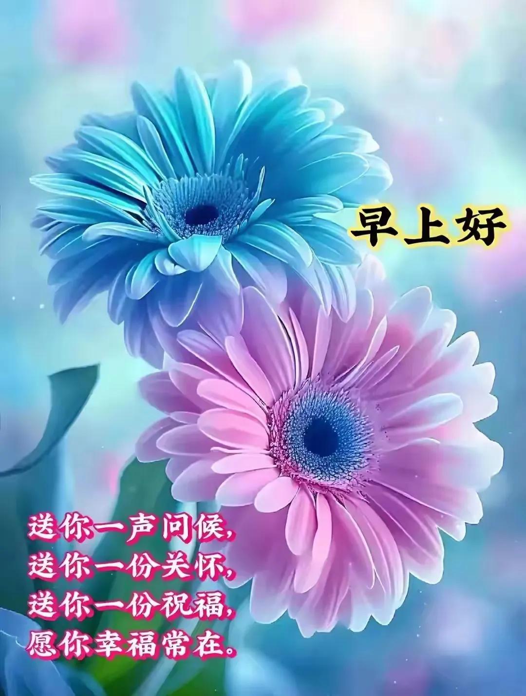10张最新精选祝福图片:朋友真挚心相连,愿每天健康喜悦
