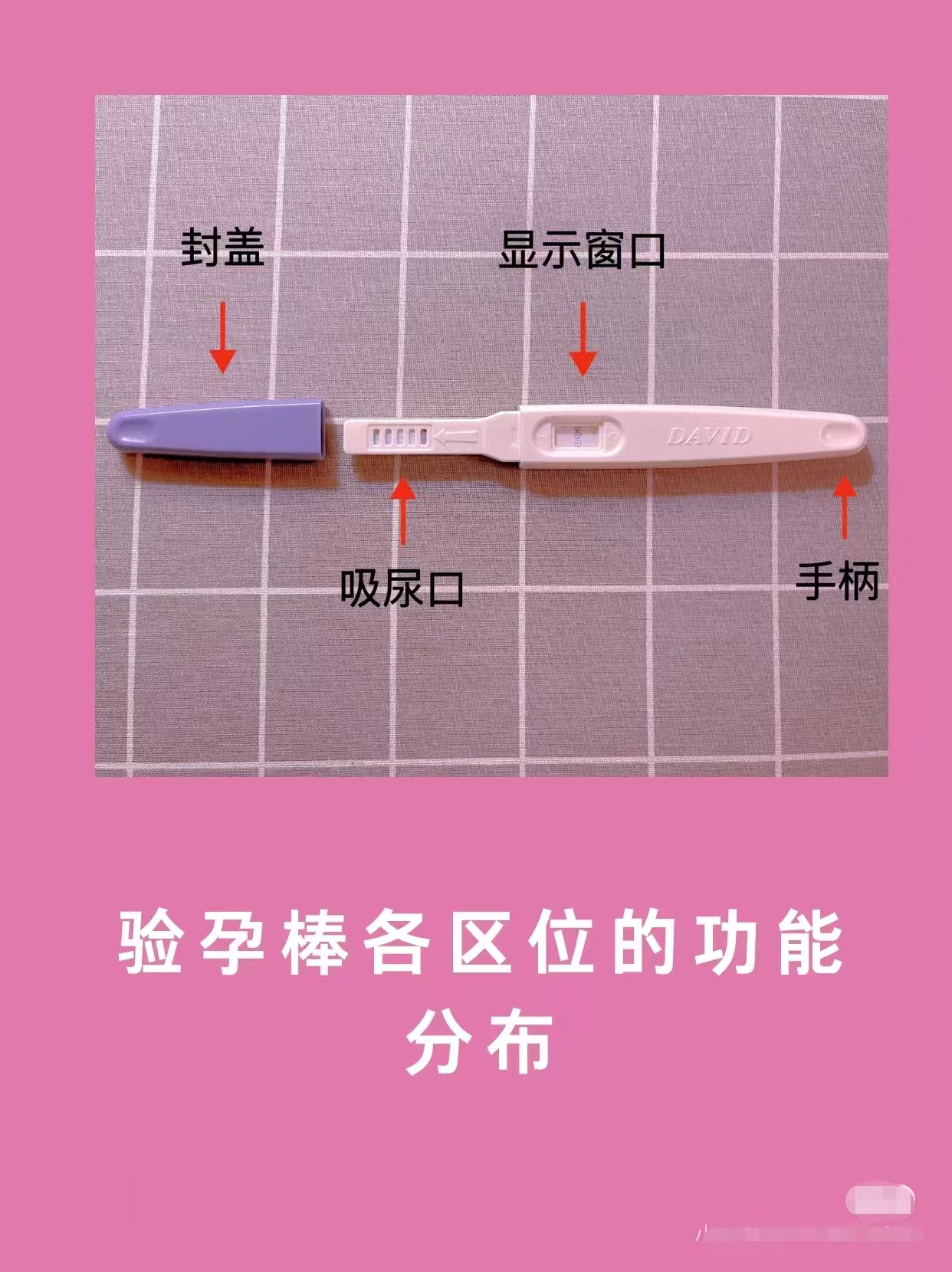 女性健康|验孕棒使用方法
