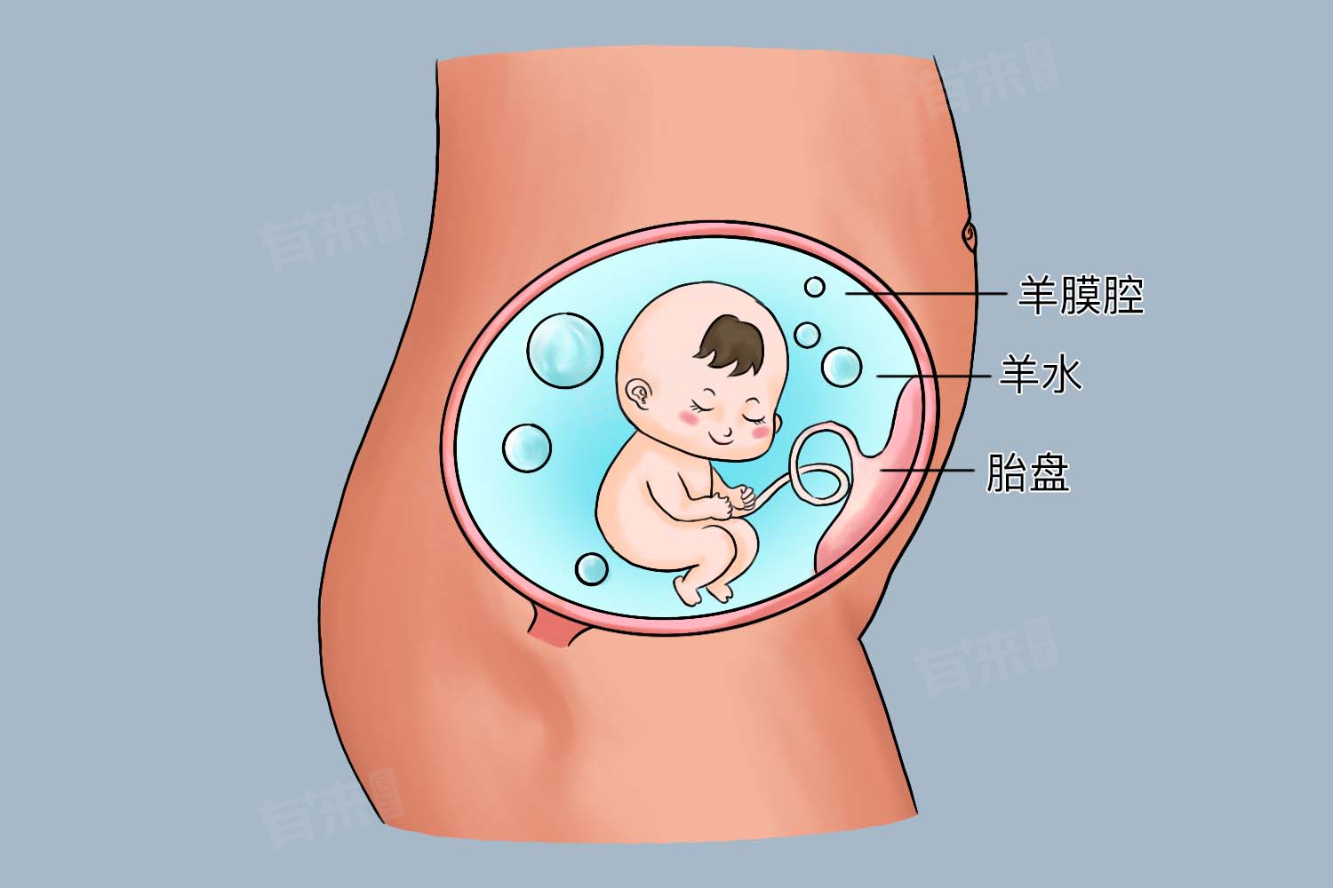 羊水少的危害大,一文教会孕妈如何快速补羊水,建议读完!