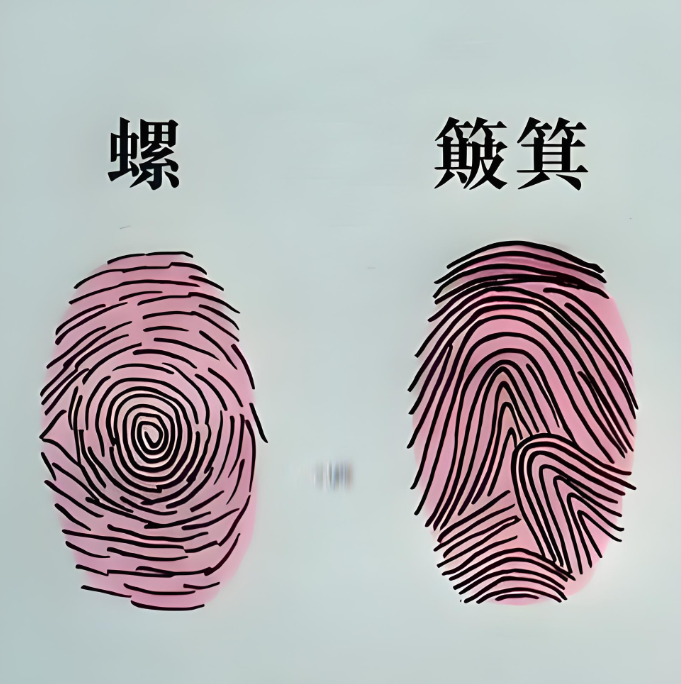 手指指纹"斗"和"簸箕"代表什么?相师说十指指纹暗藏性格命运密码