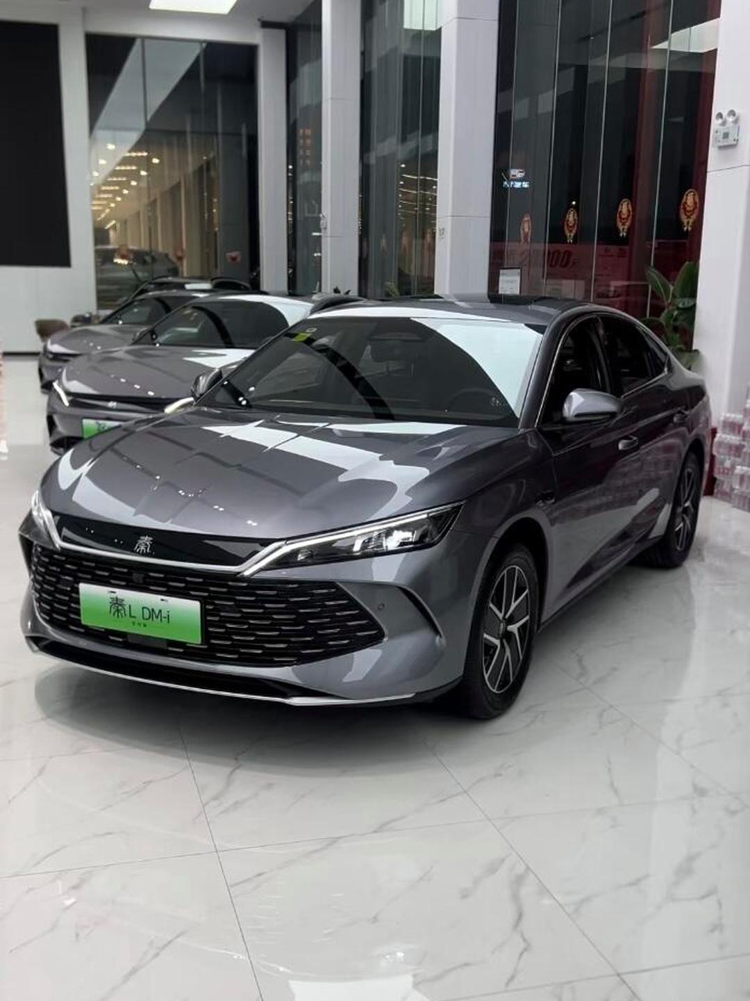 10万级家轿新标杆比亚迪秦ldm