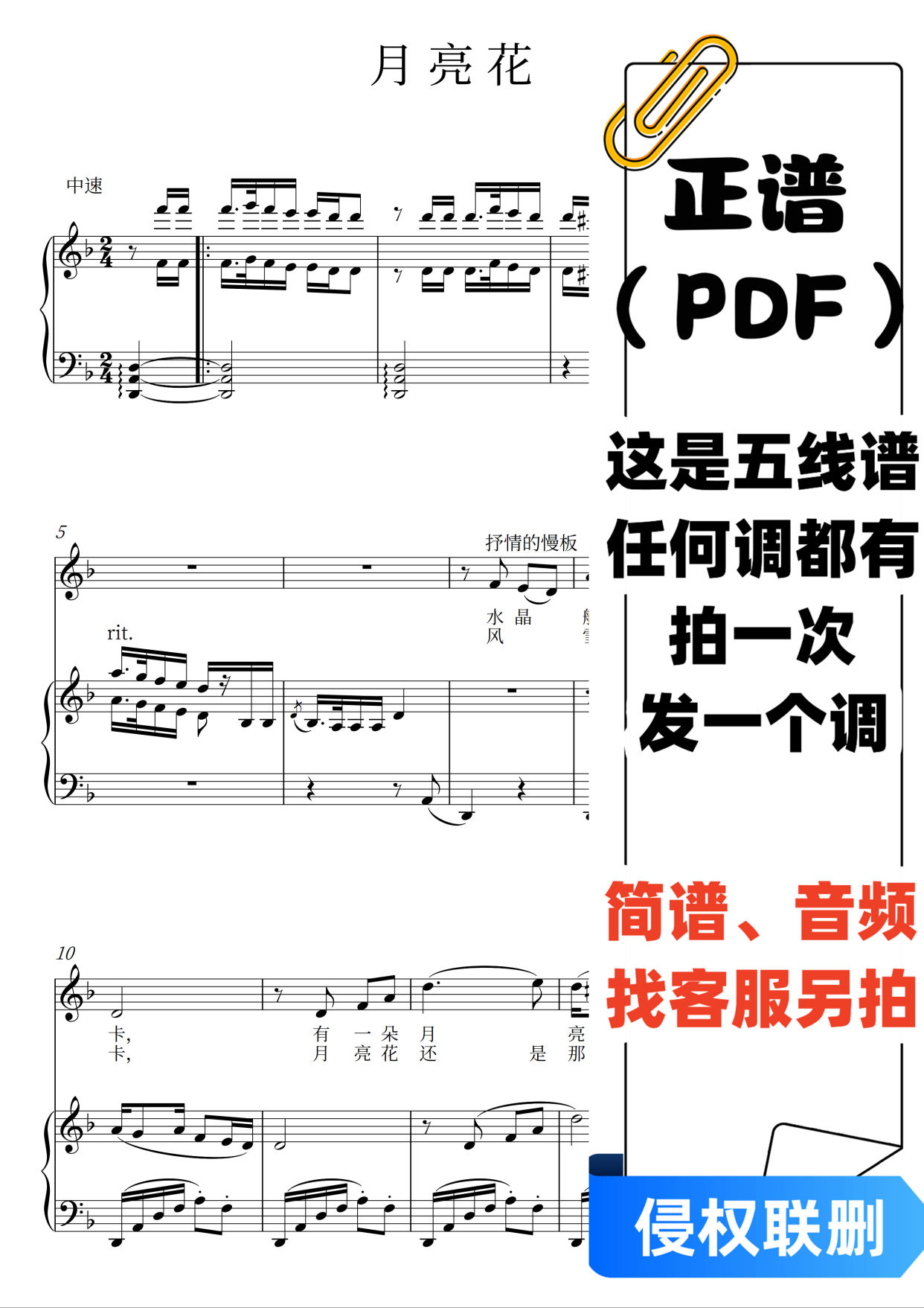 月亮花f乐谱曲谱