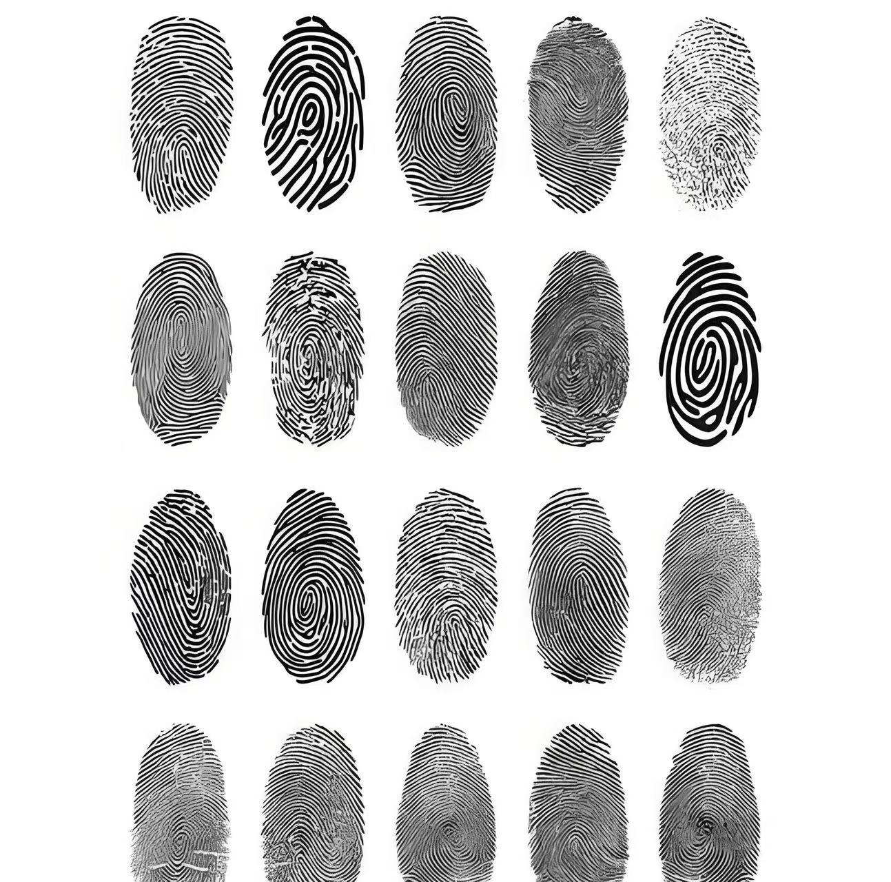 "十指无斗全簸箕,此世有钱无处去",瞧瞧你的掌上有几个簸箕?