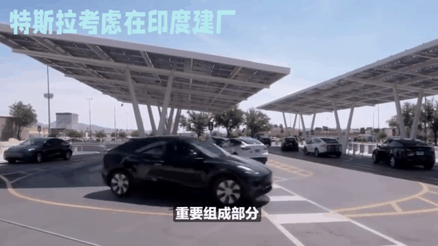 特斯拉印度遇冷,订单仅600,三大难题挡路-有驾 特斯拉印度遇冷,订单仅600,三大难题挡路-有驾