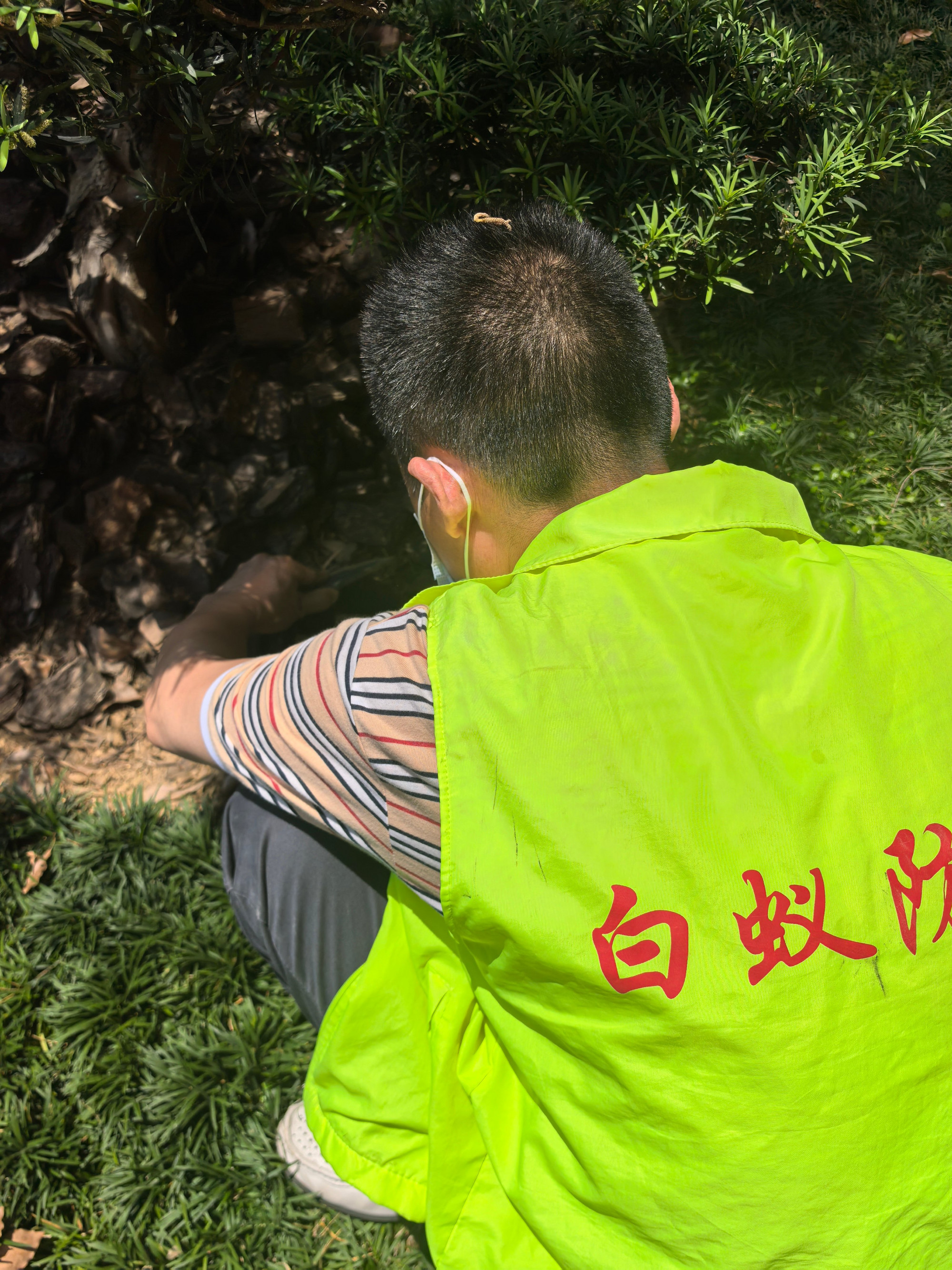 平湖市白蚁防治中心