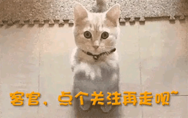 国庆假期高速充电排长队，新能源车主焦虑，服务区配套待提升-有驾