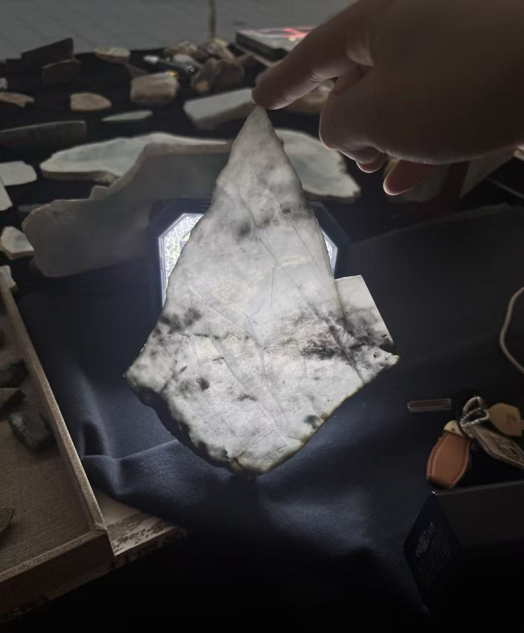 翡翠乌鸡种