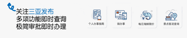 三亚六区多维发力齐推进,经济发展与民生保障双提升解析-有驾 三亚六区多维发力齐推进,经济发展与民生保障双提升解析-有驾
