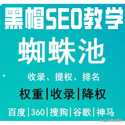 seo黑帽之蜘蛛池 - 黑蜘蛛网络有限公司 seo黑帽之蜘蛛池 - 黑蜘蛛网络有限公司