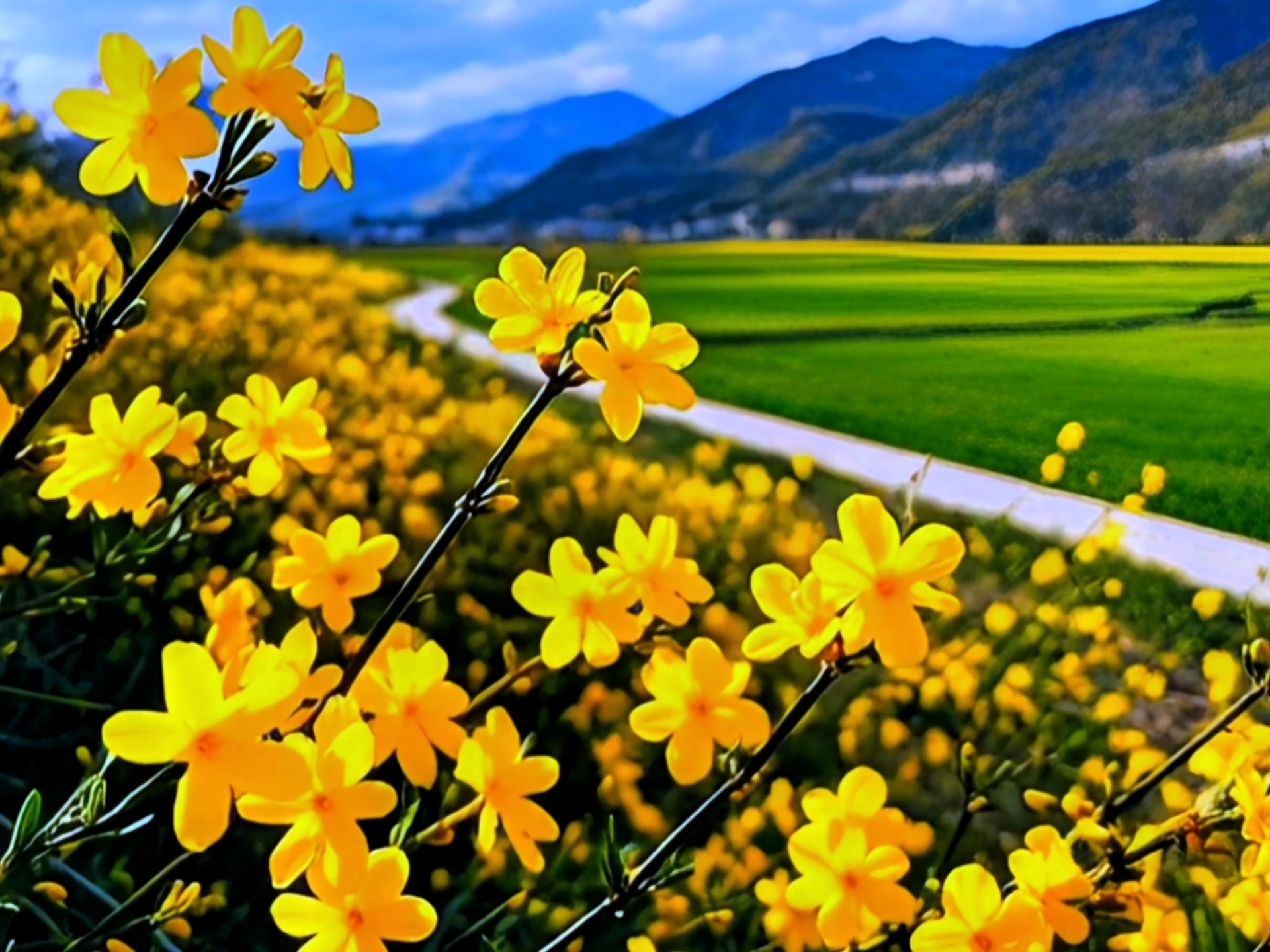 廊坊报社日报公告公示登报电话