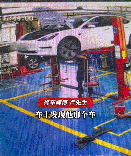 电动车底盘惊现十多斤死狗，异味背后的安全隐忧-有驾