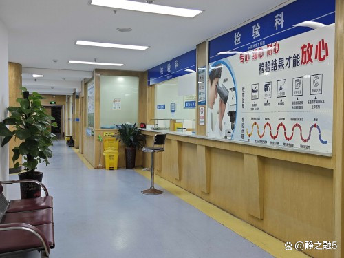 东方医院帮忙挂号陪同看病住院登记咨询,东方医院帮忙挂号陪同看病住院登记咨询电话 东方医院帮忙挂号陪同看病住院登记咨询,东方医院帮忙挂号陪同看病住院登记咨询电话