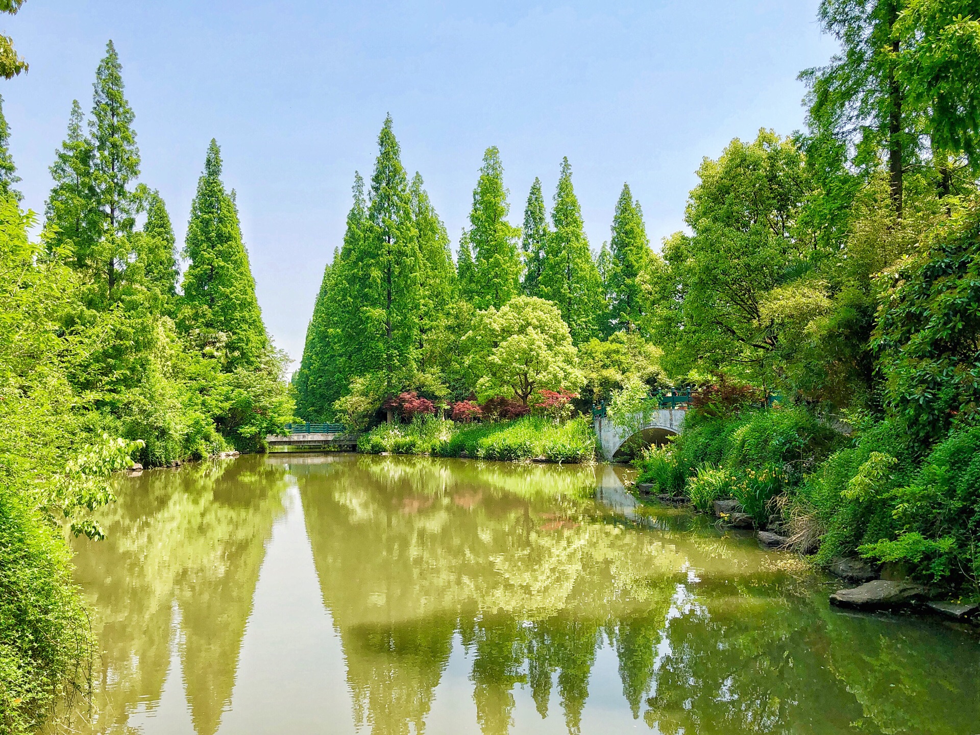 崇明旅游景点大全排名图片