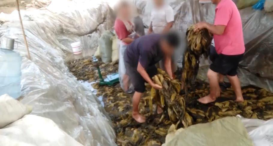 酸菜厂工人又在酸菜池内抽烟吐痰,"老痰酸菜"恶心人一时,可食品安全