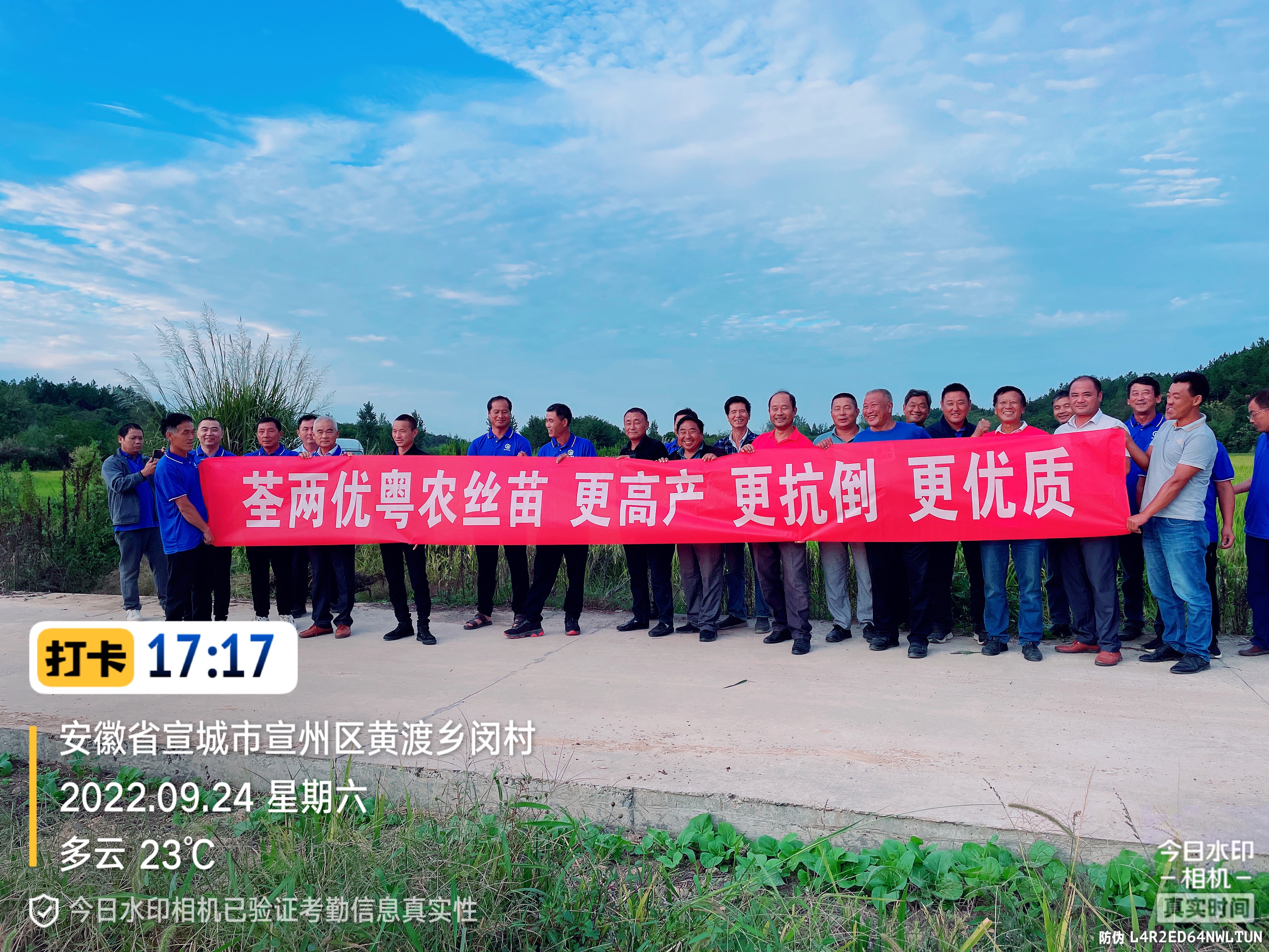 荃能稻·荃两优粤农丝苗再生稻栽培技术(参考)