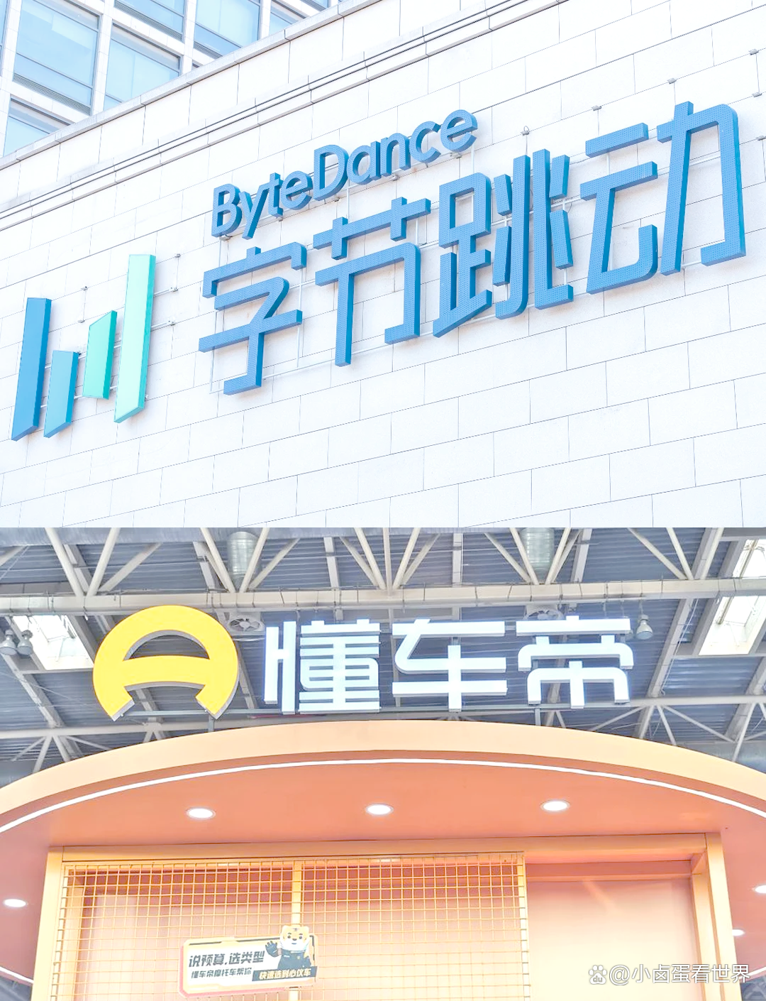 懂车帝