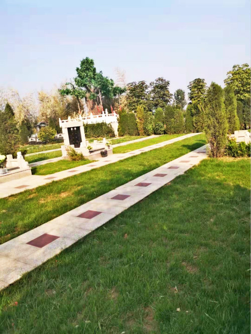 看专家点评洛阳邙山陵园