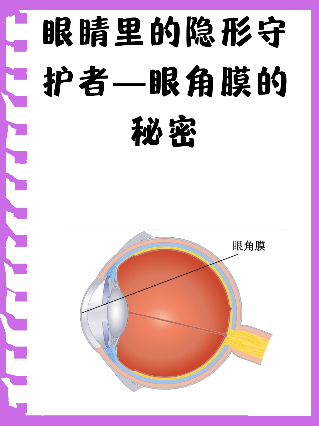 眼角膜的秘密,你了解多少?